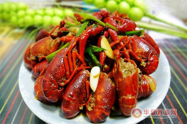 阿蛋龍蝦 技術推廣引領行業新潮，輕松賺錢生意火